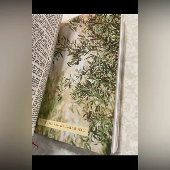 🔆 Vintage Jerusalem Wood Cover Bible #7890 - Picture 8 of 12